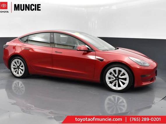 TESLA MODEL 3 2023 5YJ3E1EA7PF439309 image